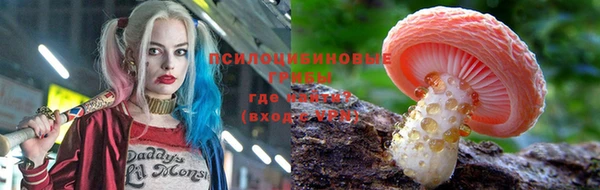 дмт Баксан